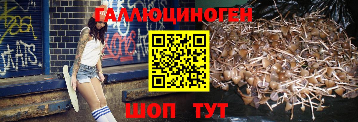 Светлоград  Галлюциногенные грибы ЛСД  Вход с VPN 
